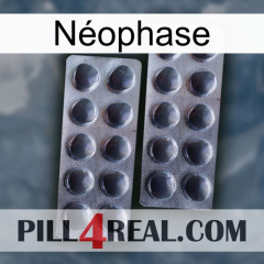 Néophase 31